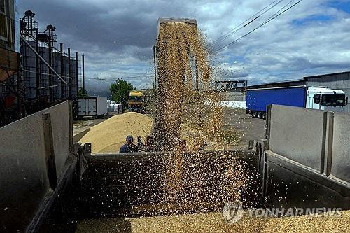 우크라이나 오데사 지역에서 수확한 곡물을 차량에 싣는 농민들
[로이터 연합뉴스 자료사진. 재판매 및 DB 금지]