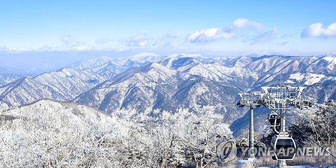 가리왕산 케이블카 [정선군 제공. 재판매 및 DB 금지]