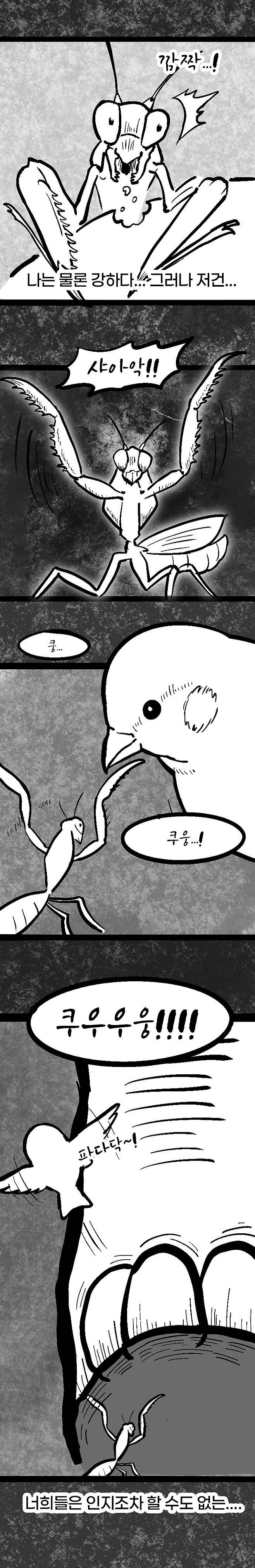 IMG_5760.jpeg 존나짱쎈고대의에이션트드래곤.manhwa