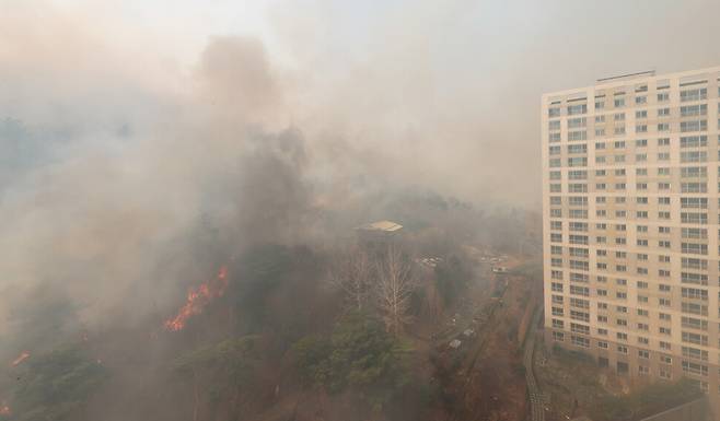25일 울산시 울주군 언양읍에서 난 산불이 확산하면서 인근 아파트까지 불길이 접근하고 있다. 연합뉴스
