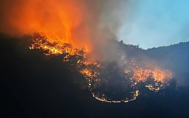 경북 의성 산불이 안동 길안면으로 번져 25일 이틀째 확산하고 있다. 지난 22일 의성군 안평면·안계리에서 발생한 산불의 불씨는 24일 오후 4시께 강풍을 타고 북동쪽으로 20여㎞ 이상 떨어진 안동시 길안면까지 덮쳤다. 안동시 제공