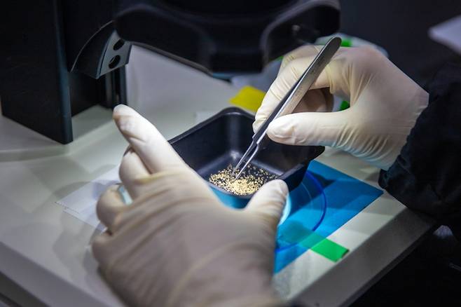 종자 정선작업 모습. 한국수목원정원관리원