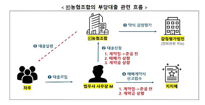 농협조합의 부당대출 관련 흐름/자료=금감원