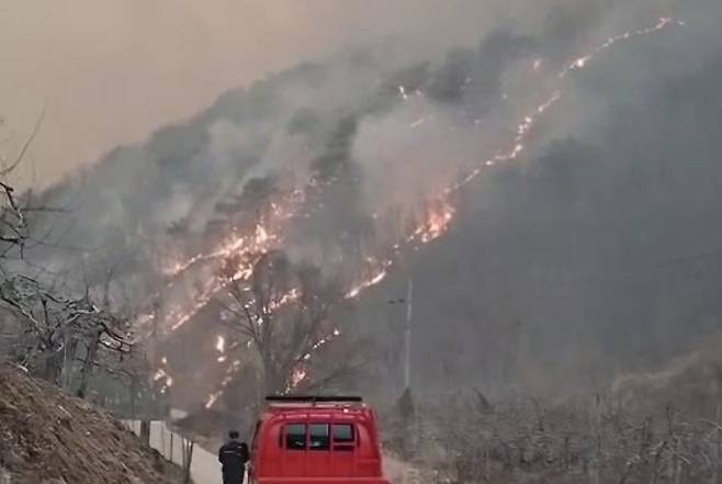 [안동=뉴시스] 경북 의성군에서 시작된 산불이 안동시 길안면까지 확산돼 불길이 치솟고 있다. 2025.03.25. (사진=독자 제공) photo@newsis.com  *재판매 및 DB 금지