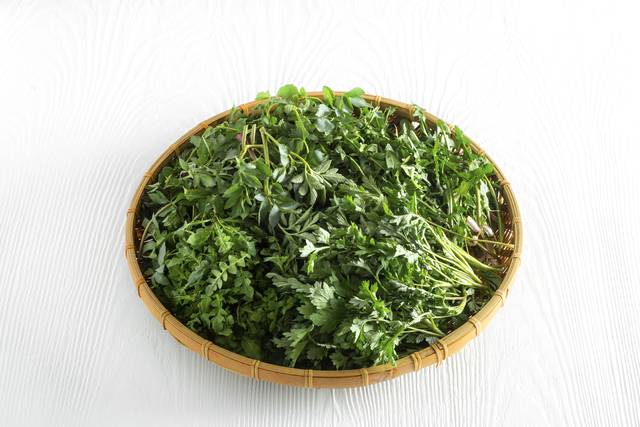 냉이. 이미지투데이