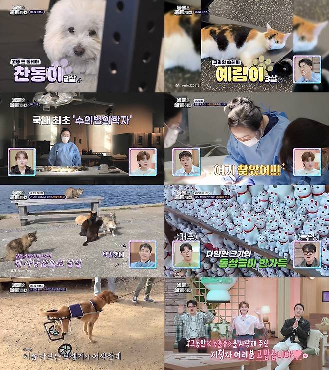 KBS2 ‘동물은 훌륭하다’ 방송 캡처