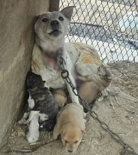 사진='유엄빠' 공식 인스타그램