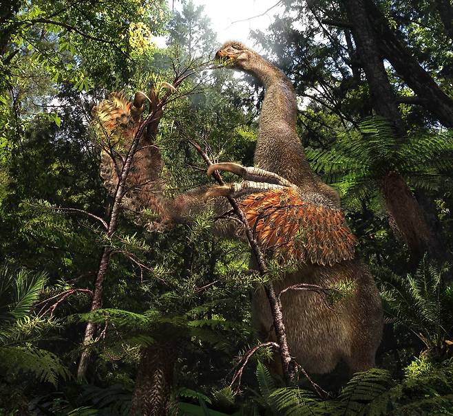 두 발로 걷는 수각류(獸脚類) 공룡인 ‘두오니쿠스 초그트바리(Duonychus tsogtbaatari)’의 생전 모습 상상도. 손가락 두개로 나뭇가지를 잡았을 것으로 추정된다./일 홋카이도대 박물관