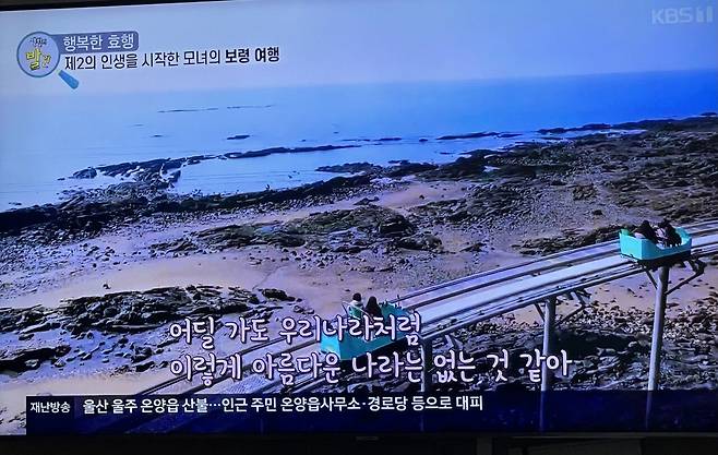 실시간 KBS1 근황