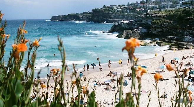 이코노미스트 01.jpg 기록적인 수치로 이민을 떠나는 뉴질랜드 사람들 (이코노미스트)