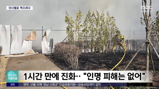 IMG_5954.jpeg 초등학생, "마시멜로 구워먹으려다.." 공원에 불