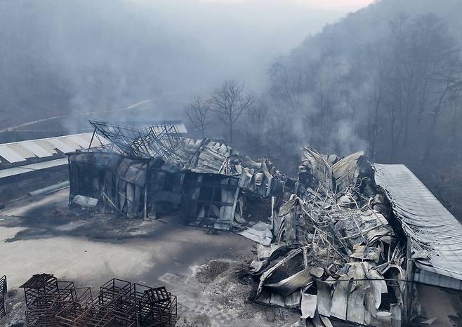 26일 경북 안동시 남선면 신석2리의 한 농장 건물이 전날 마을로 번진 산불로 불에 타 무너져 있다. 연합뉴스