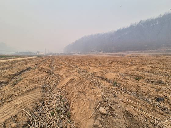 파천면 송강리에 사는 이명식(80)씨가 전날 산불 당시 아내와 피신했던 마을 뒤편 농지. 최종권 기자