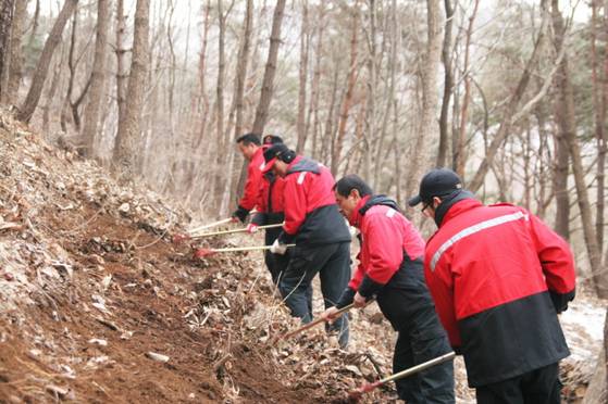 산불전문예방잔화대원들이 갈고리로 흙과 잔돌 등을 긁어모아 진화선을 구축하는 훈련을 하고 있다. 사진 산림청