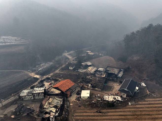 ▲ 산불이 휩쓸고 간 안동 마을 [연합뉴스]
