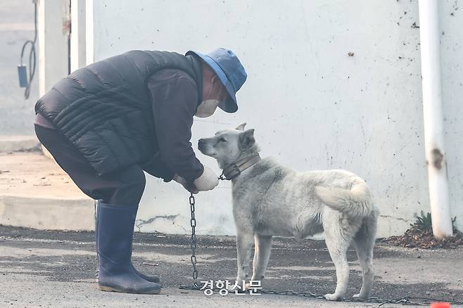 의성에서 발생한 대형산불이 닷새째 이어지고 있는 26일 경북 의성군 단촌면 구계리에서 한 주민이 산불에서 살아 남은 강아지의 목줄을 풀어주고 있다. 의성 | 성동훈 기자