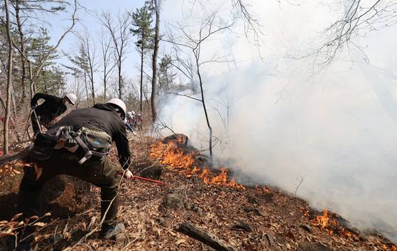 Officials from the Ulsan Metropolitan Government set up a fireline to break the path of an ongoing wildfire in Ulju County, Ulsan, on March 26. [YONHAP]