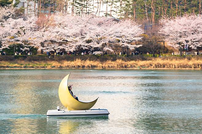 문보트를 타고 석촌호수를 따라 벚꽃놀이를 즐길 수 있다. / 사진=롯데월드