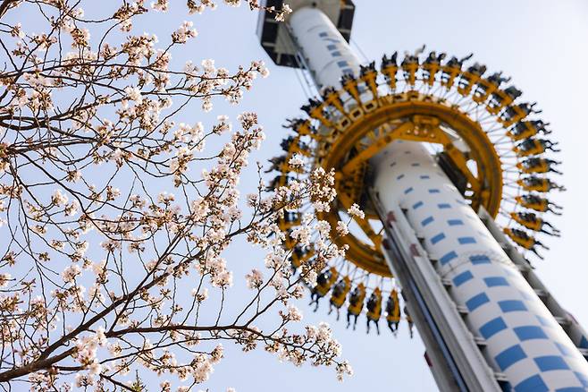 70m 상공에서 벚꽃띠를 보려면 자이로드롭을 추천한다. / 사진=롯데월드