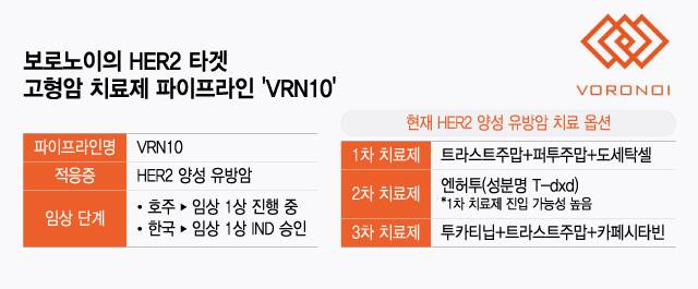 보로노이의 HER2 타겟 고형암 치료제 파이프라인 'VRN10'/디자인=윤선정