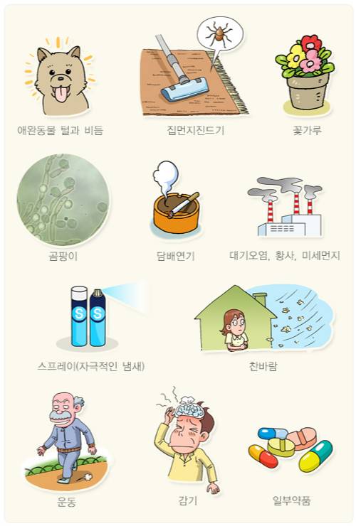 알레르기를 유발하는 다양한 요인. /자료=국가건강정보포털