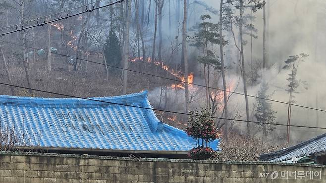 ·[울산=뉴시스]배병수 기자 = 울산시 울주군 온양읍 산불이 발생한지 닷새째인 26일 오후 시뻘건 불길이 민가를 덮칠듯 치솟고 있다. 2025.03.26.bbs@newsis.com /사진=배병수