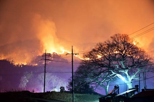 25일 오후 지난 21일 경남 산청군에서 발생한 대형 산불이 산등성이를 타고 하동군 옥종면 안계마을 인근 으로 확산되면서 소방당국을 긴장케하고 있다. 뉴시스