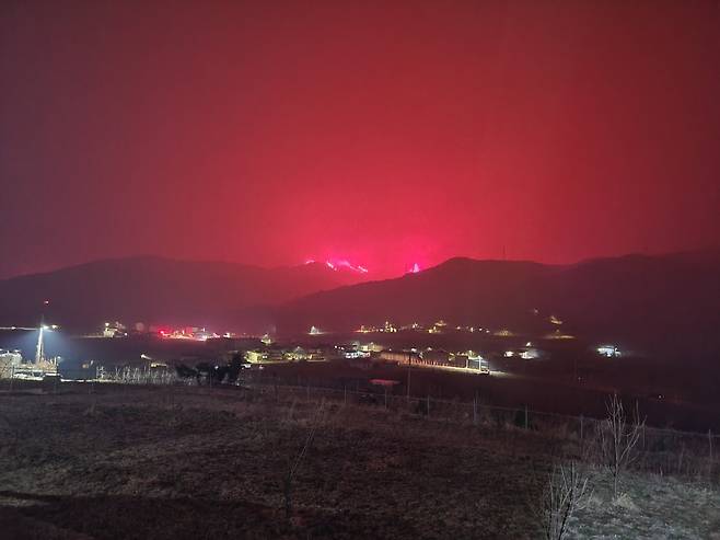 [경북소방본부 제공]