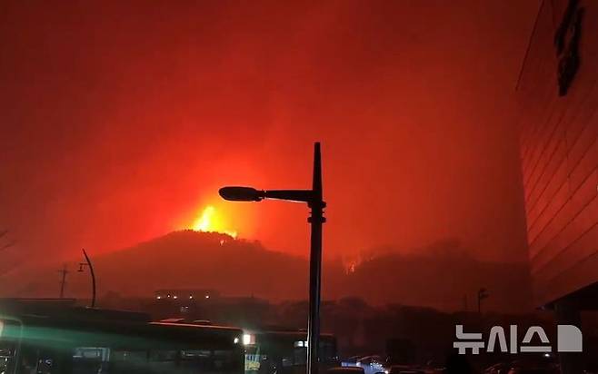 [영덕=뉴시스] 안병철 기자 = 지난 25일 경북 영덕 군민체육관에서 바라본 산불.(사진=독자제공) 2025.03.26. photo@newsis.com