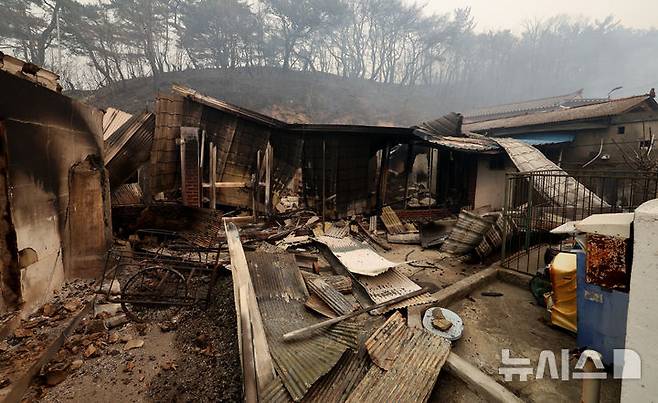 [영덕=뉴시스] 이무열 기자 = 26일 경북 영덕군 영덕읍 화수리 한 주택이 산불로 전소돼 있다. 2025.03.26. lmy@newsis.com