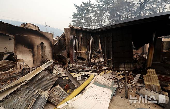 [영덕=뉴시스] 이무열 기자 = 26일 경북 영덕군 영덕읍 화수리 한 주택이 산불로 전소돼 있다. 2025.03.26. lmy@newsis.com