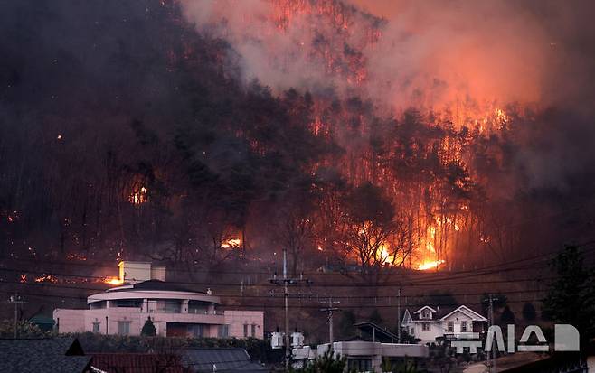 [안동=뉴시스] 이무열 기자 = 경북 의성군 산불 발생 나흘째인 25일 산불이 안동시 남후면 광음리 마을 인근까지 번지고 있다. 2025.03.25. lmy@newsis.com