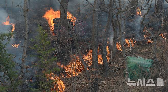 [울산=뉴시스] 배병수 기자 = 울산시 울주군 온양읍 산불이 발생한지 닷새째인 26일 오후 불길이 번지고 있다. 2025.03.26.bbs@newsis.com.