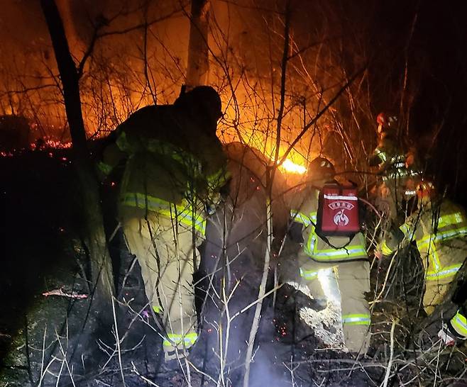 언양 산불 현장서 야간 진화 작업 중인 소방대원들 [울산소방본부 제공. 재판매 및 DB 금지]