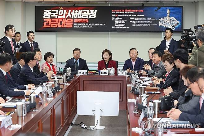 나경원 의원 개회사 (서울=연합뉴스) 박동주 기자 = 25일 서울 여의도 국회 의원회관에서 열린 '중국의 서해공정 긴급대응 국회토론회'에서 국민의힘 나경원 의원이 개회사를 하고 있다. 2025.3.25 pdj6635@yna.co.kr