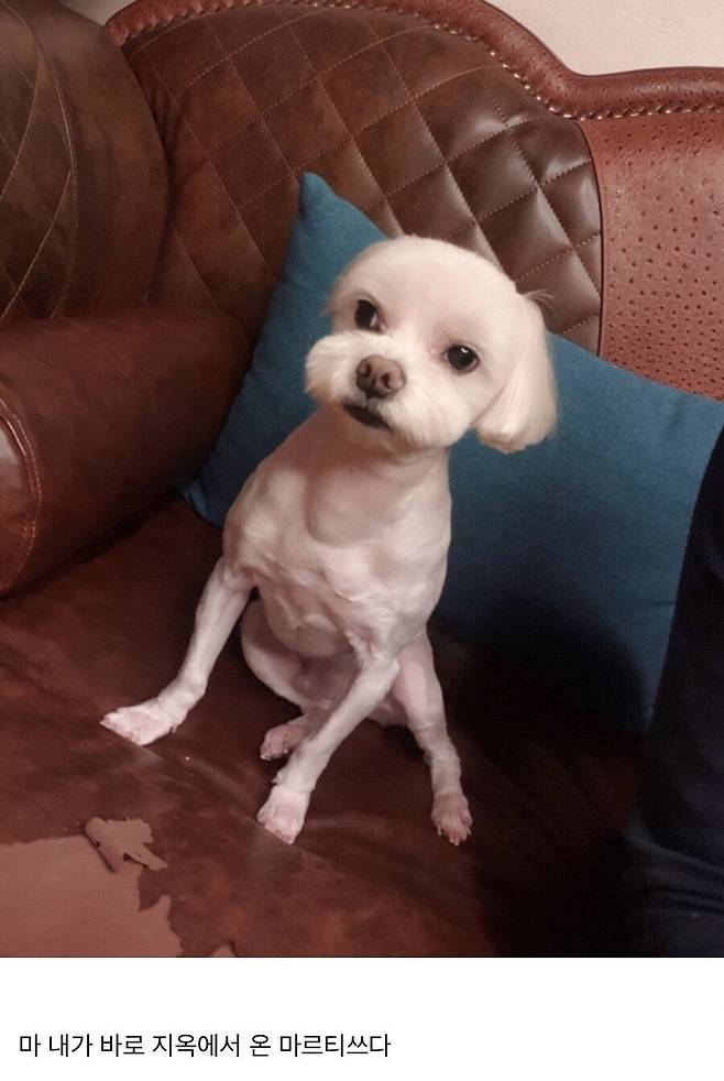 닭가슴살 먹고 벌크업 한 후기.jpg