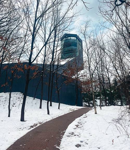 전망대 가는 길