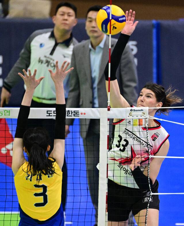 정관장 부키리치가 스파이크를 강타하고 있다 / 한국배구연맹(KOVO)
