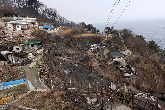 27일 경북 영덕군 영덕읍 석리 따개비마을에 산불이 휩쓸고 간 뒤 주택 곳곳이 불에 타 내려앉았다. [연합]