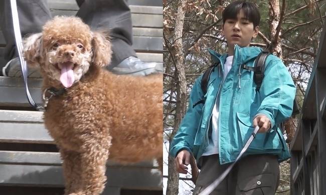 MBC ‘나 혼자 산다’