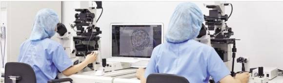 저출산 시대 난임 부부가 많아지면서 난임 치료 건수도 늘어나고 있다. 국내 난임 센터들의 임신 성공률은 20~70%로 편차가 크다. 사진은 차병원 차 여성의학연구소 난임 연구실에서 임상배아 연구원들이 난임 치료 기술을 연구하는 모습. 차병원 제공