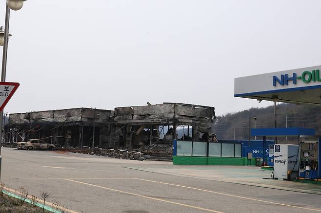 영덕 7번 국도 옆 주유소 인근 피해 현장 [촬영 손대성]