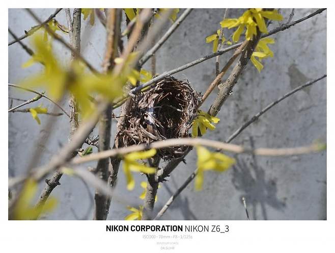 0996e319b5826ff020b5c6b236ef203ed8f4f65a09cb91f808cb