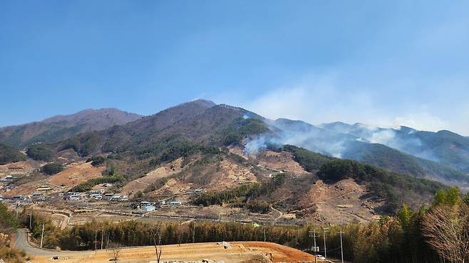 2025년 3월23일 오후 경남 산청군 시천면 신천마을. 지리산 자락이 5부 능선까지 두릅나무밭과 축사 등으로 훼손돼 있다. 이번 산불은 이렇게 인위적으로 조성된 풀밭과 소나무 단순림을 통해 하동군 옥종면까지 번졌다. 최병성 제공
