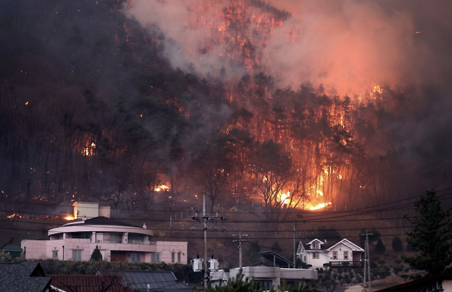 경북 의성군 산불 발생 나흘째인 25일 산불이 안동시 남후면 광음리 마을 인근까지 번지고 있다.  [뉴시스]