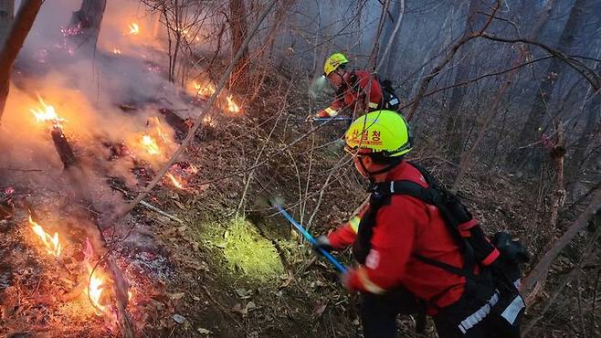 [대전=뉴시스] 울산 울주 산불 진화에 나선 대원들이 현장에서 불을 끄고 있는 모습. (사진=산림청 제공) 2025.03.27. photo@newsis.com *재판매 및 DB 금지