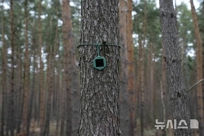 [에베르스발데(독일)=AP/뉴시스]독일의 산불감지 전문기업 드라이아드 네트웍스가 개발한 자율주행 인공지능(Al) 기반 시스템을 갖춘 프로토 타입 AI 기반 무인항공기 '실바가드' 드론이 27일(현지시각) 독일 베를린 외곽 에베르스발데에서 선보인 가운데 산불 발생 경보를 내기 위해 나무에 부착된 화재 감지 센서. 이 회사는 새 드론이 화재의 감지와 위치 추적, 모니터링을 가속화하는 데 크게 도움이 될 것이라고 밝혔다. 2025.03.28.