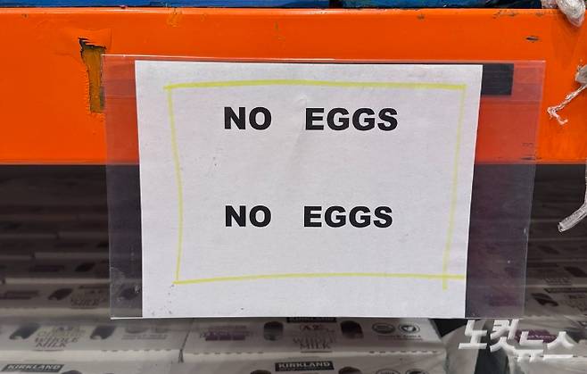 조류 독감이 영향으로 계란 공급량이 크게 줄어들면서 미국의 한 대형 식료품점 계란 매대에 계란이 품절됐다는 표시가 붙어있다. 자료사진. 최철 기자