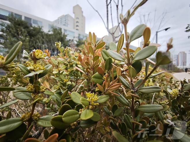 2025.03.28./뉴스1 ⓒNews1 김정현 기자