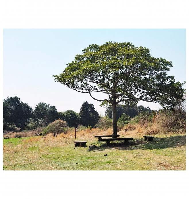 06bcdb27eae639aa658084e54484746e3d6c9c5240e8428fd1dd458e06161da2dae1d849abcdeef1a50c29e1e62274fd